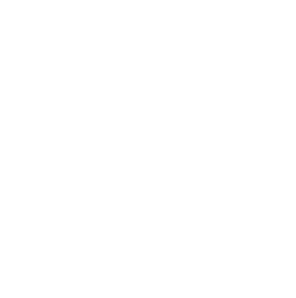 Wonka's The Golden Ticket